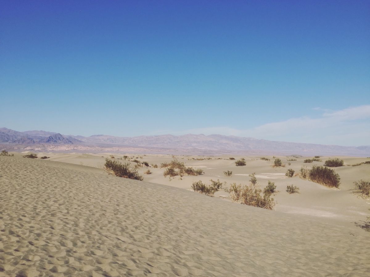 デス・バレー国立公園

まさにイメージ通りのデスバレーの風景だった！！