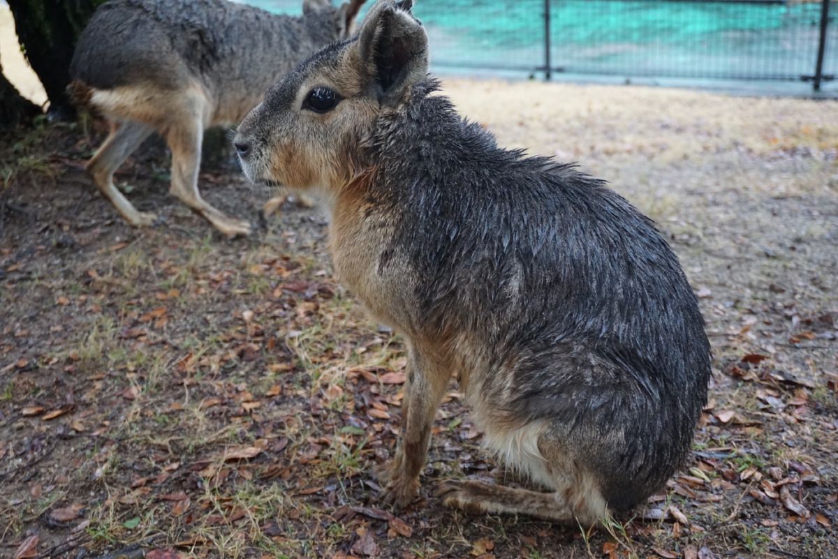 近くで見ることができてうれしい