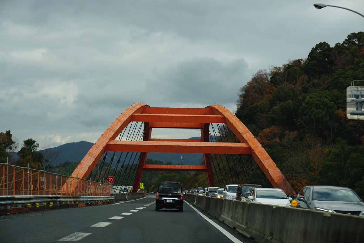 みかんらしきものをちょくちょく見かけた！さすが和歌山