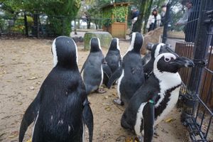 近くで見ることができてうれしい