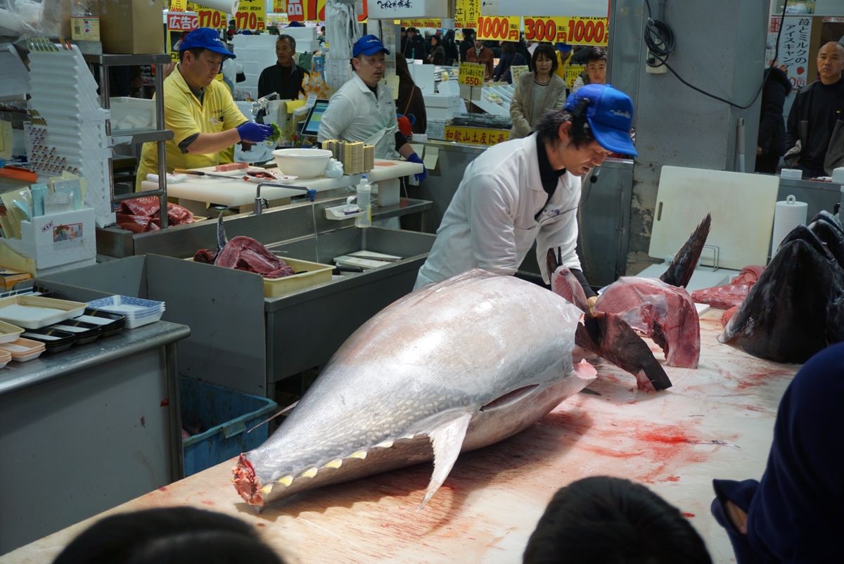 とれとれ市場ではマグロの解体ショーをちらりと見たり

紀州のドンファン事件...