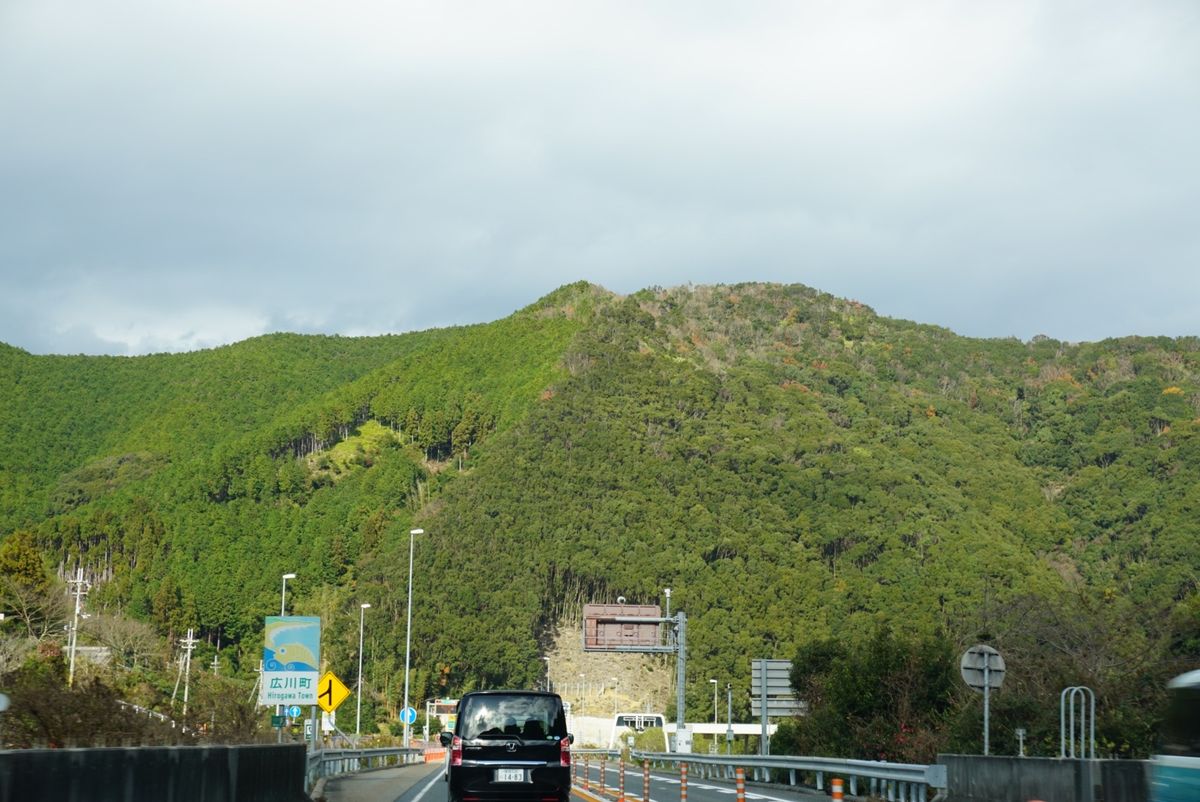 みかんらしきものをちょくちょく見かけた！さすが和歌山