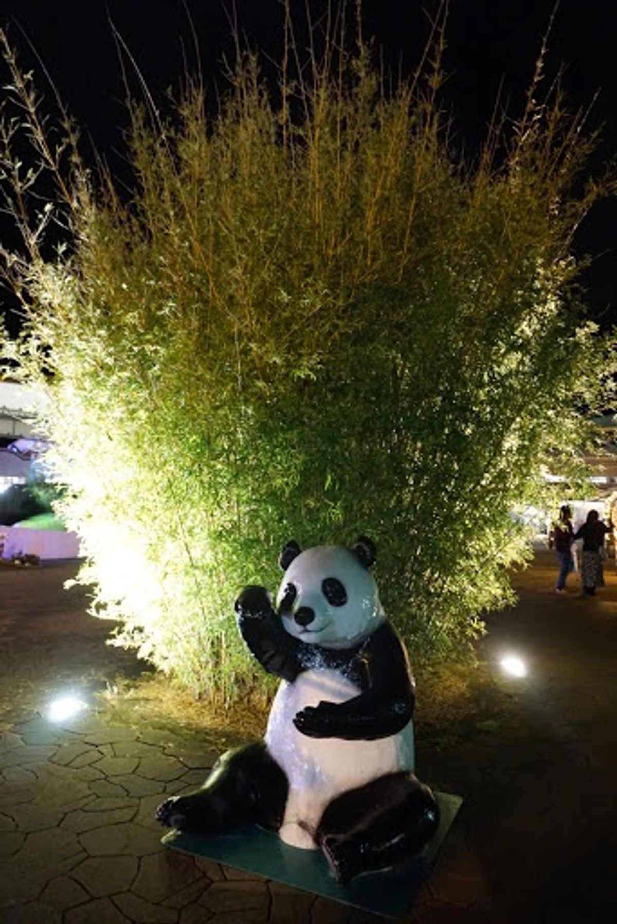 帰りにパンダを覗くとおやすみしてました