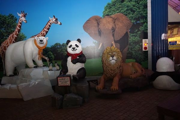 日本・和歌山県「アドベンチャーワールド🐼🐧」の写真