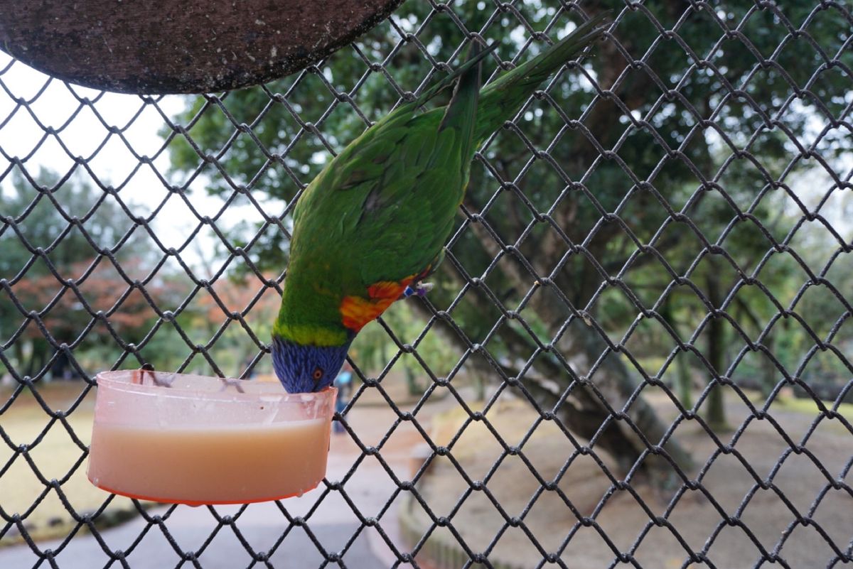 近くで見ることができてうれしい