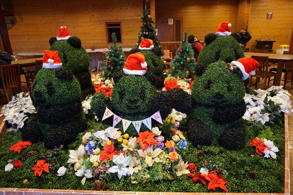 カワウソちゃんと写真が撮れると聞いてこちらの休憩所？に。
クリスマスは過...