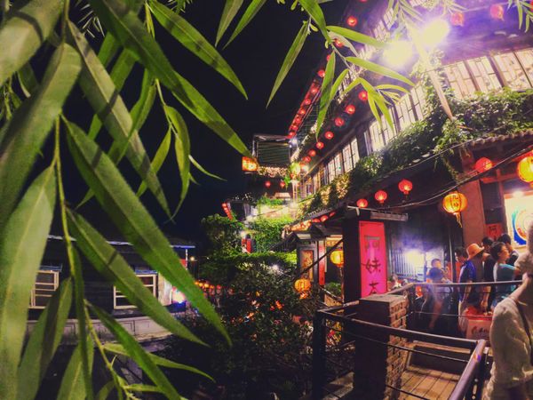 台湾・台北「同期台湾旅行」の写真