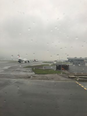 蓮香茶室で食事をして空港へ

その日は香港でも珍しいくらい（香港の友人が言...
