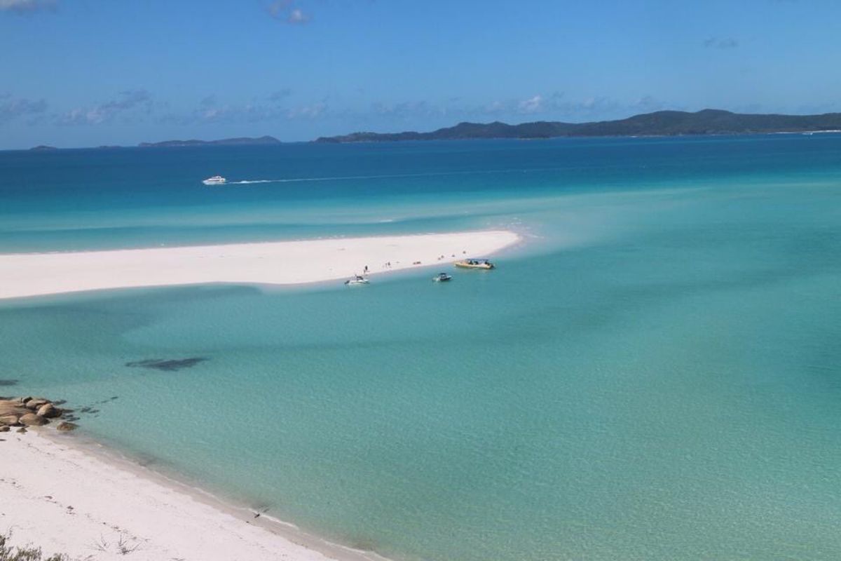 ハミルトン島で半年間働きました🌴
絶対に行きたかったグレートバリアリーフと...