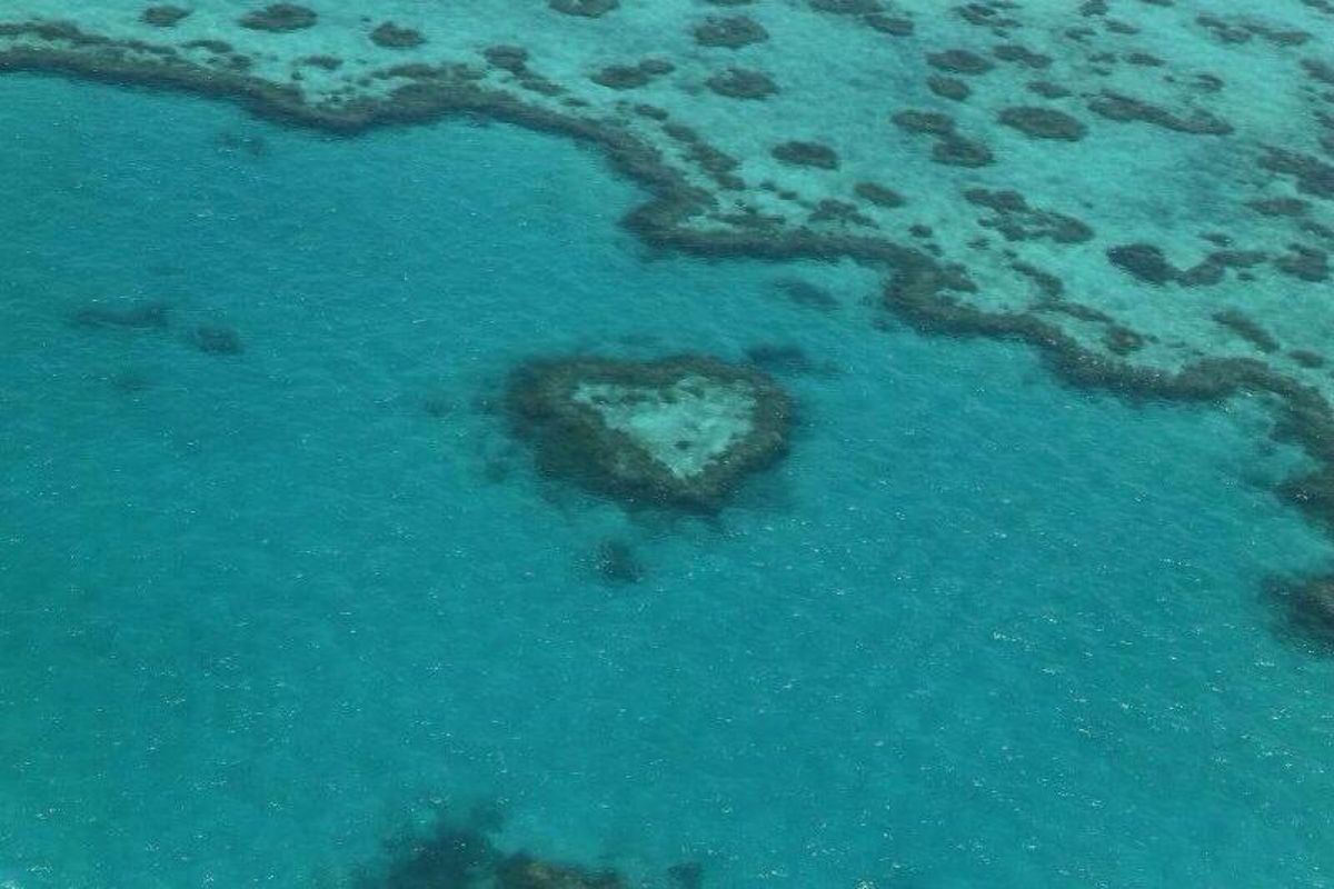 ハミルトン島で半年間働きました🌴
絶対に行きたかったグレートバリアリーフと...
