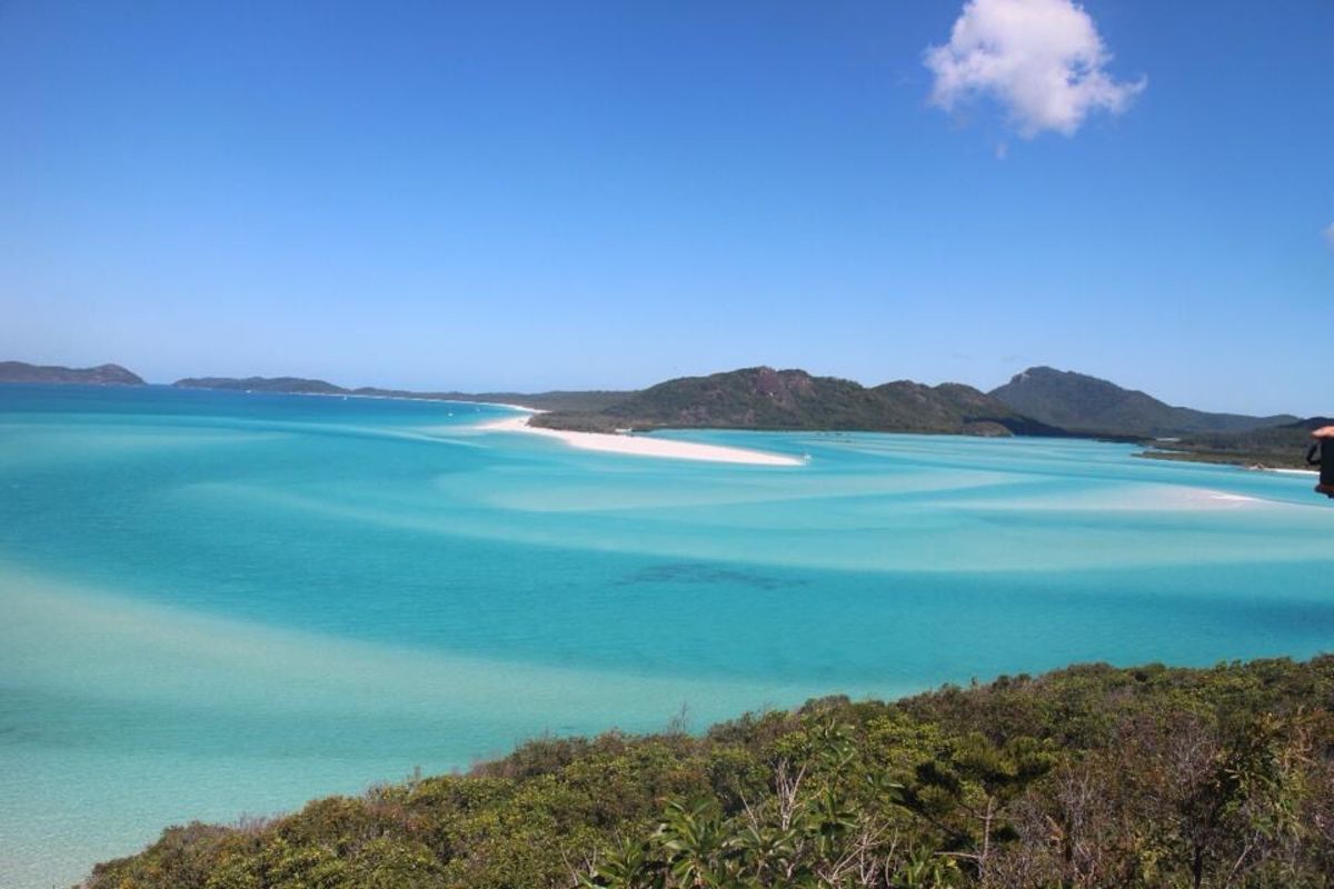 ハミルトン島で半年間働きました🌴
絶対に行きたかったグレートバリアリーフと...