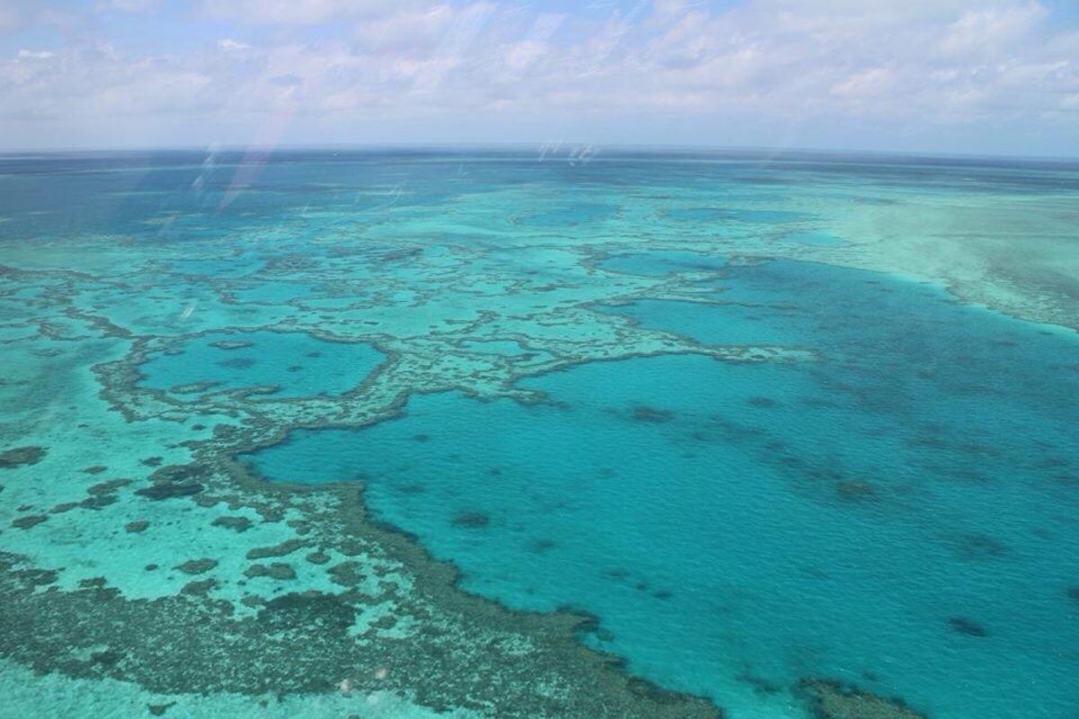 ハミルトン島で半年間働きました🌴
絶対に行きたかったグレートバリアリーフと...