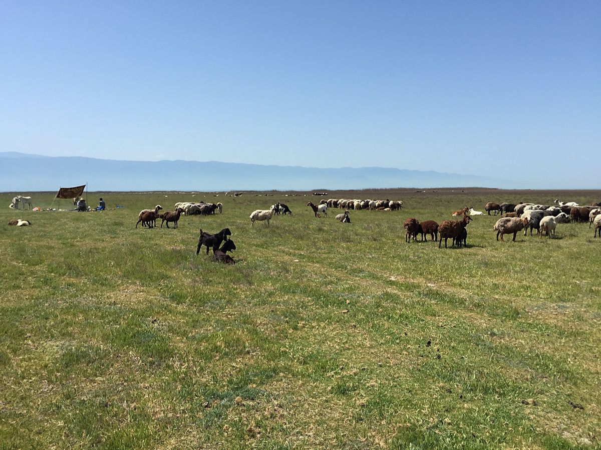 イスラム礼拝にも参加させてもらいました。