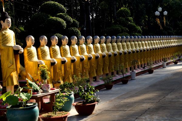 ベトナム「ベトナム」の写真：クメール寺(chùa chim)、とても...