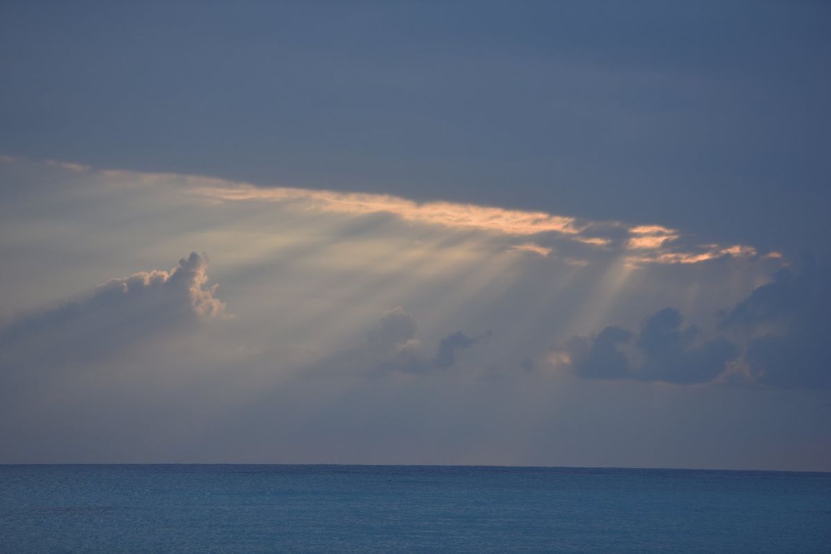 ポートオーリー、2017年初日の出とネムノキの花