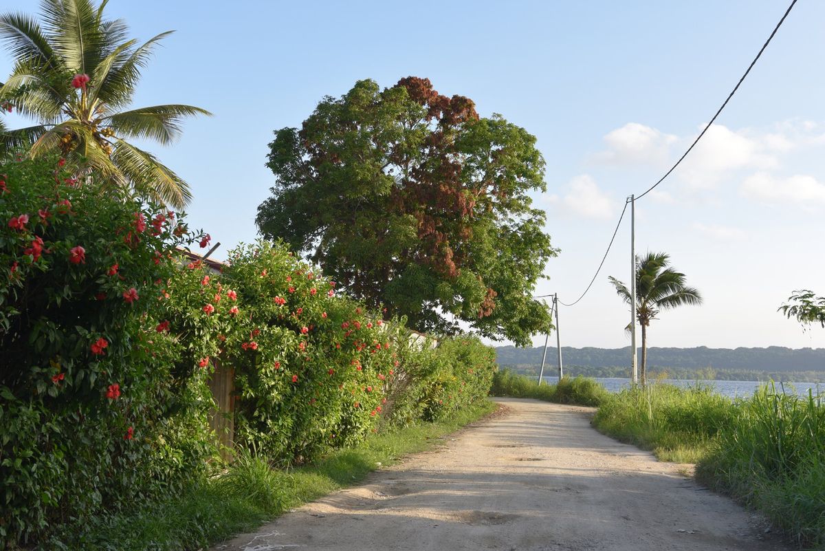 サント島。
とてもいいところだけれど、予想通り野菜欠乏感に襲われる。