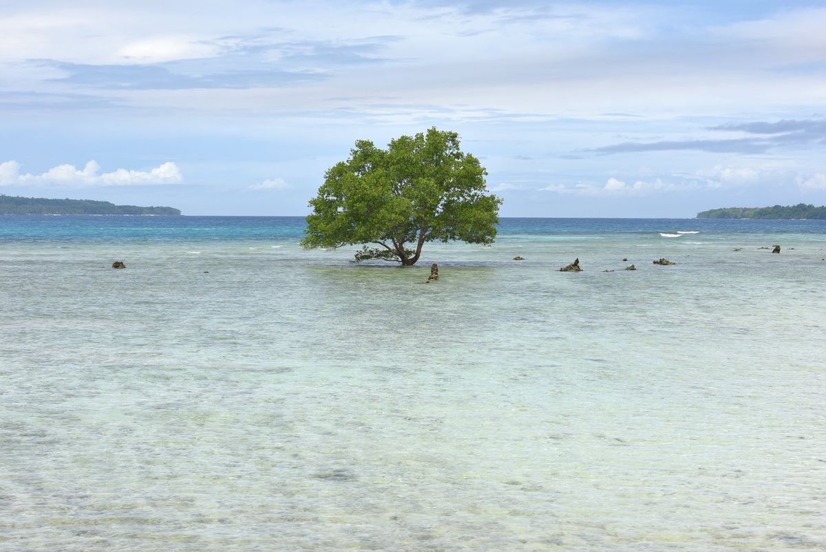 サント島。
とてもいいところだけれど、予想通り野菜欠乏感に襲われる。