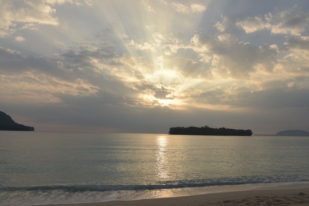 ポートオーリー、2017年初日の出とネムノキの花