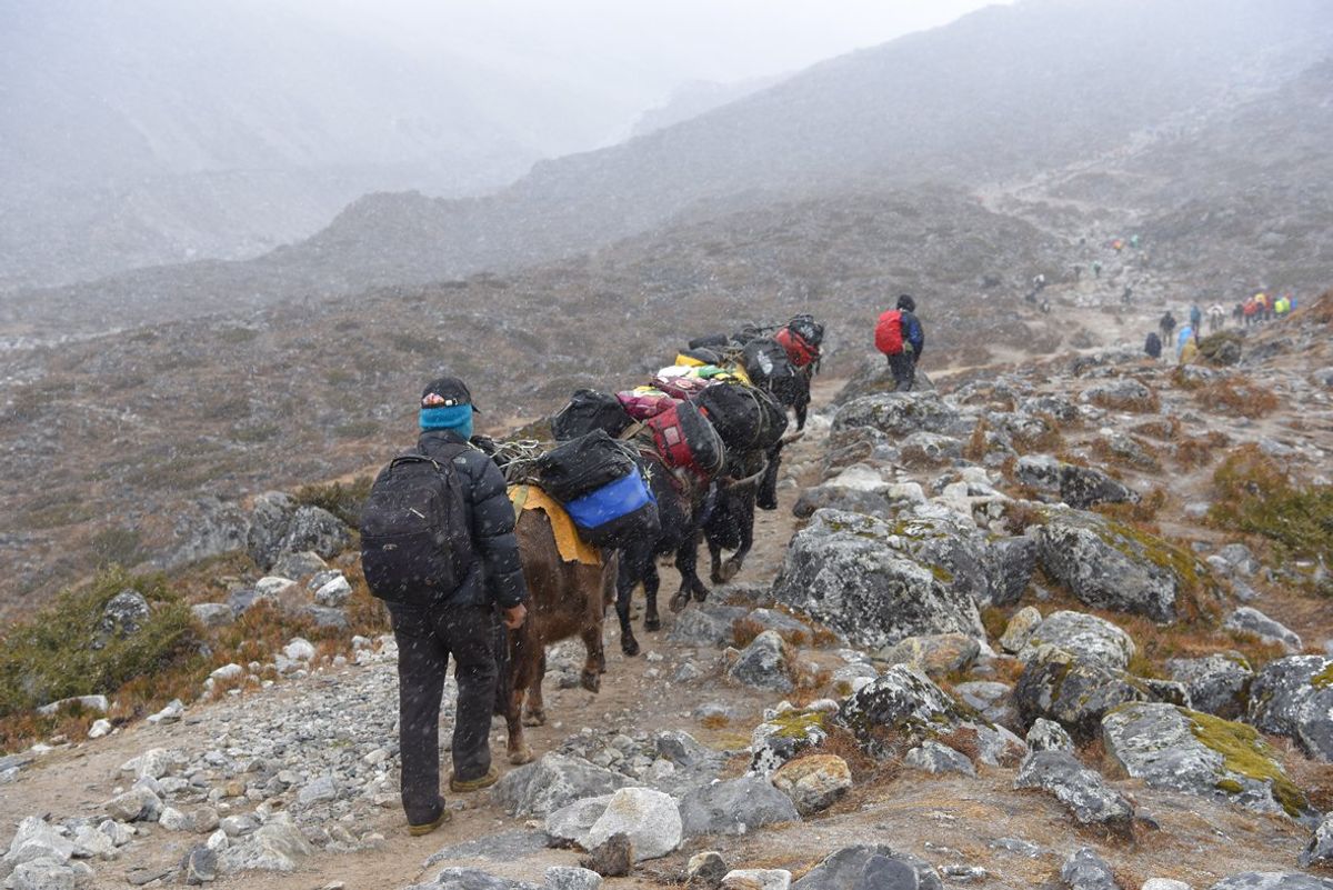 エベレスト街道。標高4500メートルを超えると空気が薄く、かなり寒くなり、...