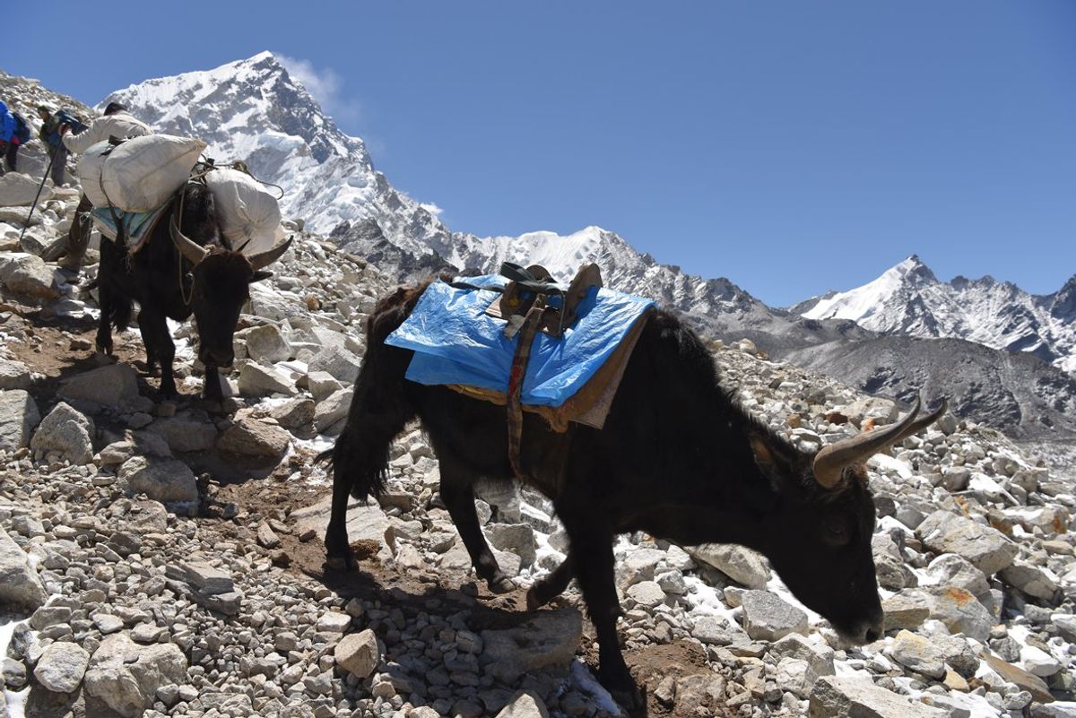 エベレスト街道。更に上を目指します。分かりにくいですが後の２枚がエベレスト...
