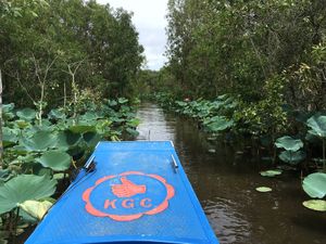 今回が2回目のrừng tràm Trà Sư (チャースー カユプテの森...