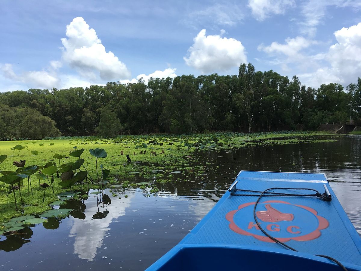 今回が2回目のrừng tràm Trà Sư (チャースー カユプテの森...