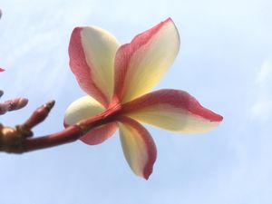 ターケーク、大好きなビアラオを飲みながら、ラオスからタイ側を望む。
辛さの...