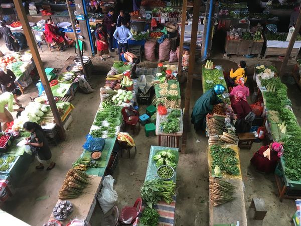 ラオス人民民主共和国・ルアンパバーン「ラオス」の写真：ポンサリー市場。
山の食材が多くて見てい...