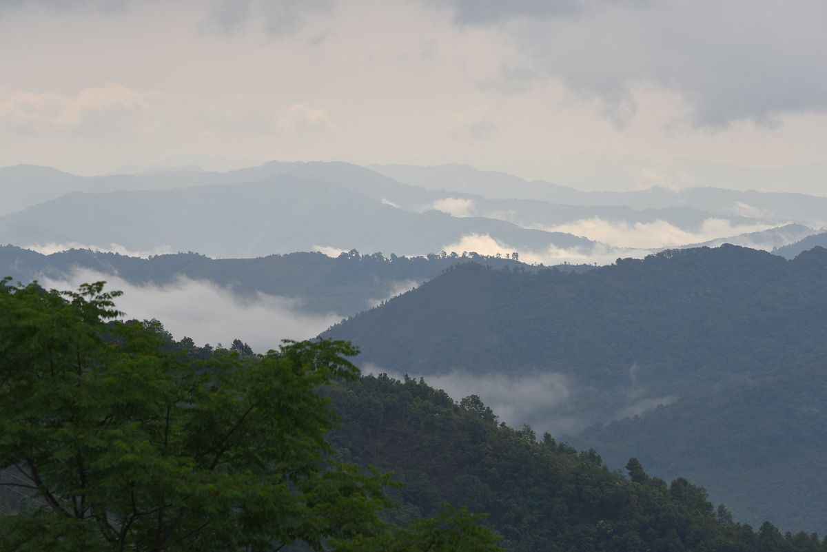 ポンサリー
朝食後の散歩、あてもなく山道を下る。途中お茶畑を発見、お土産に...