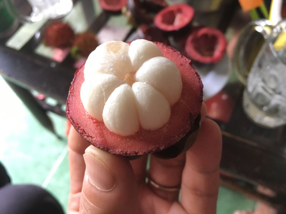 サワーソップのシントー(sinh tố mãng cầu xiêm)練乳・...