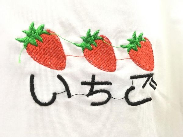 ベトナム「ベトナム」の写真