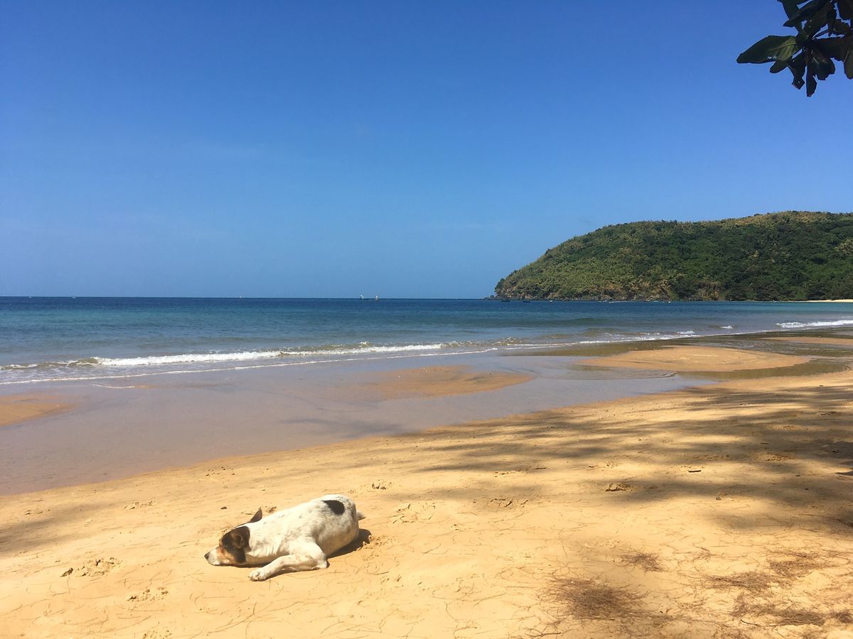 コンダオ。
14年前に来た時は何もなかった(その日は誰もいなかった)、bã...