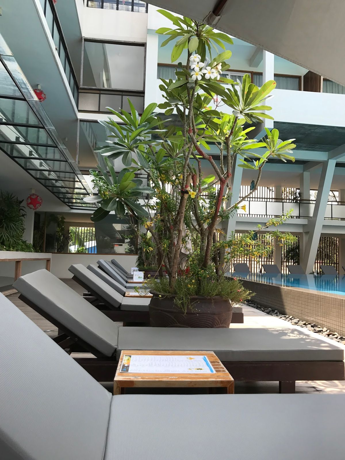 翌日。帰国日。
ホテルのプールへ

このホテルは、ホテルというより高級レジ...