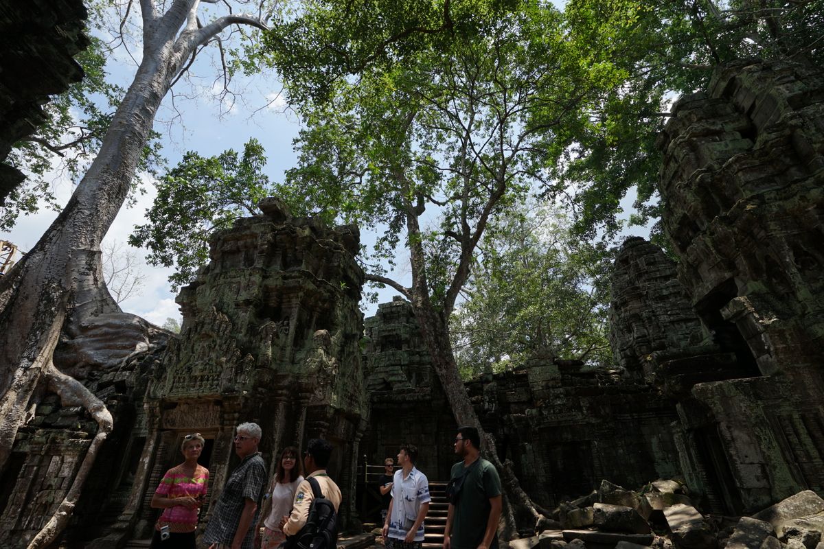タプローム。胸を叩くと反響する。
反響しないと悪人だっけ？

反響してるか...