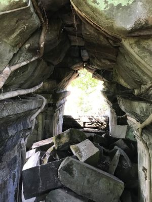 ベンメリア遺跡に到着！

ラピュタ！

昨日のアンコールワット遺跡とは違っ...