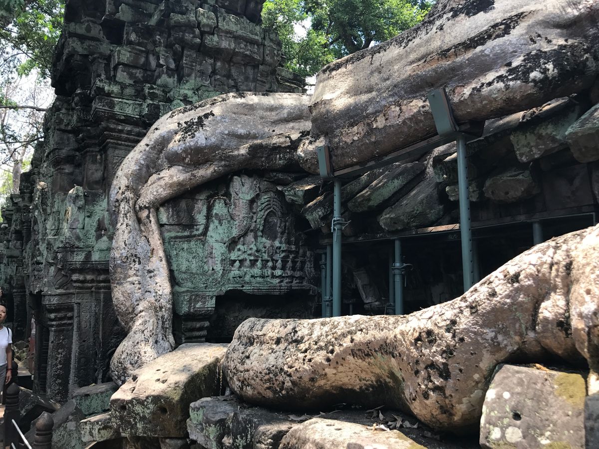 タプローム。胸を叩くと反響する。
反響しないと悪人だっけ？

反響してるか...