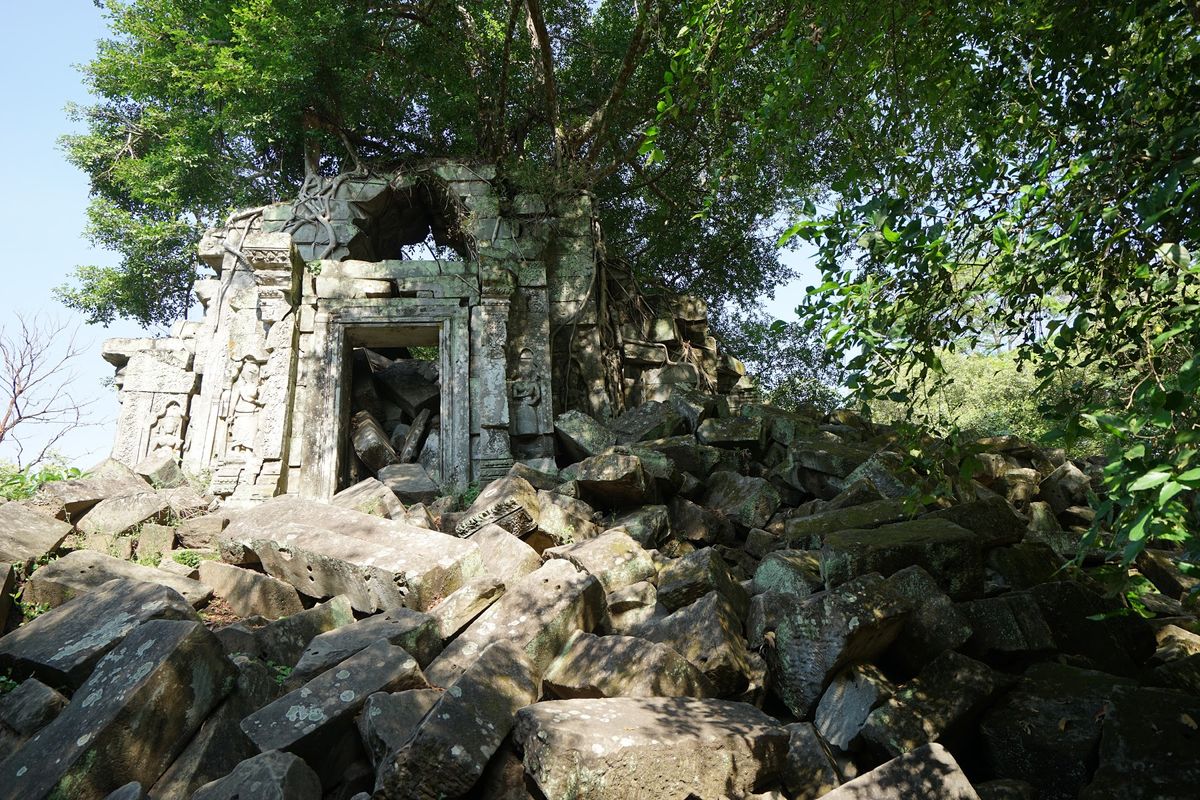 ベンメリア遺跡に到着！

ラピュタ！

昨日のアンコールワット遺跡とは違っ...