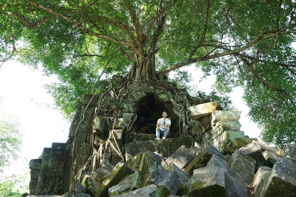 ベンメリア遺跡に到着！

ラピュタ！

昨日のアンコールワット遺跡とは違っ...