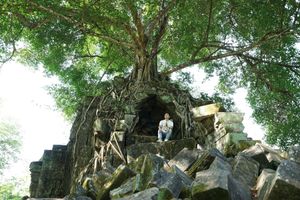 ベンメリア遺跡に到着！

ラピュタ！

昨日のアンコールワット遺跡とは違っ...