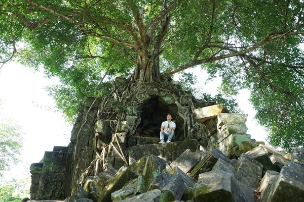 カンボジア・シェムリアップ「カンボジア アンコールワットとタイ国境への旅」の写真：ベンメリア遺跡に到着！

ラピュタ！

...