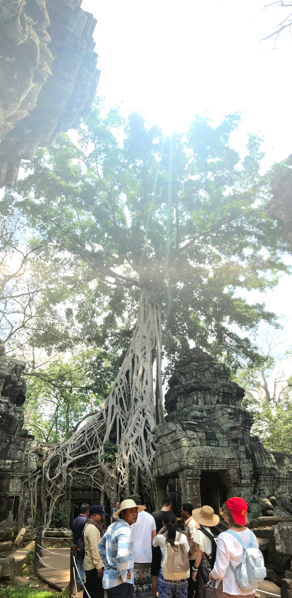 タプローム。胸を叩くと反響する。
反響しないと悪人だっけ？

反響してるか...