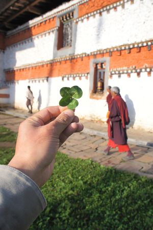 幸せの国の有名なお寺、ジャンベ・ラカンで四葉のクローバーを発見。
春祭りと...