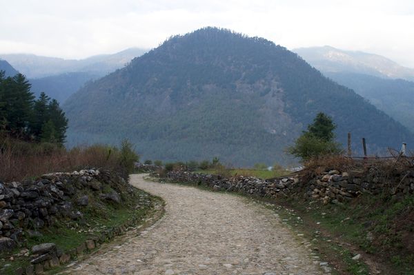 ブータン「ブータン」の写真：西ブータンのハ(Ha)へ。