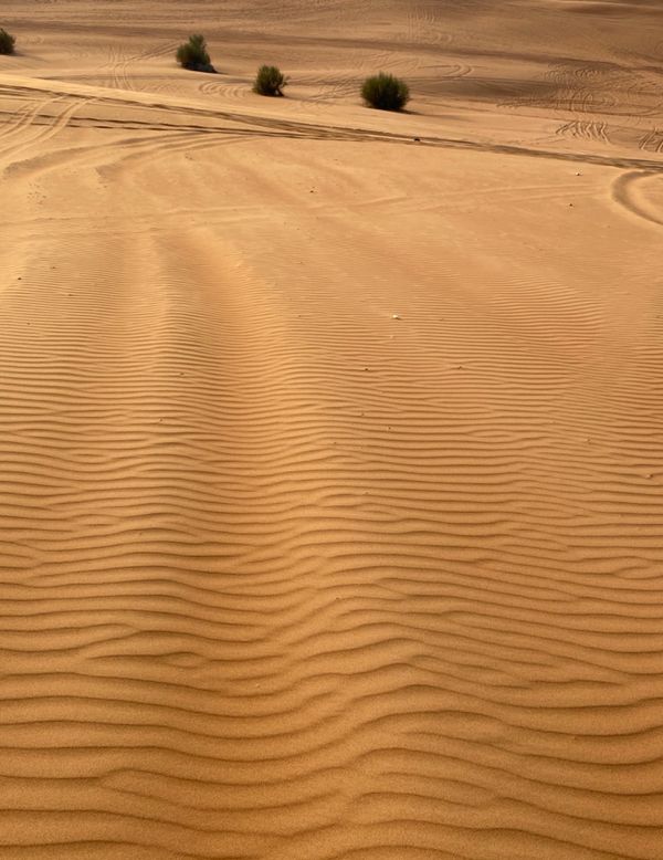 アラブ首長国連邦・ドバイ「新型コロナウイルスの影響で急遽行先変更😂」の写真：砂の模様に惚れ惚れする
自然は美しい

...