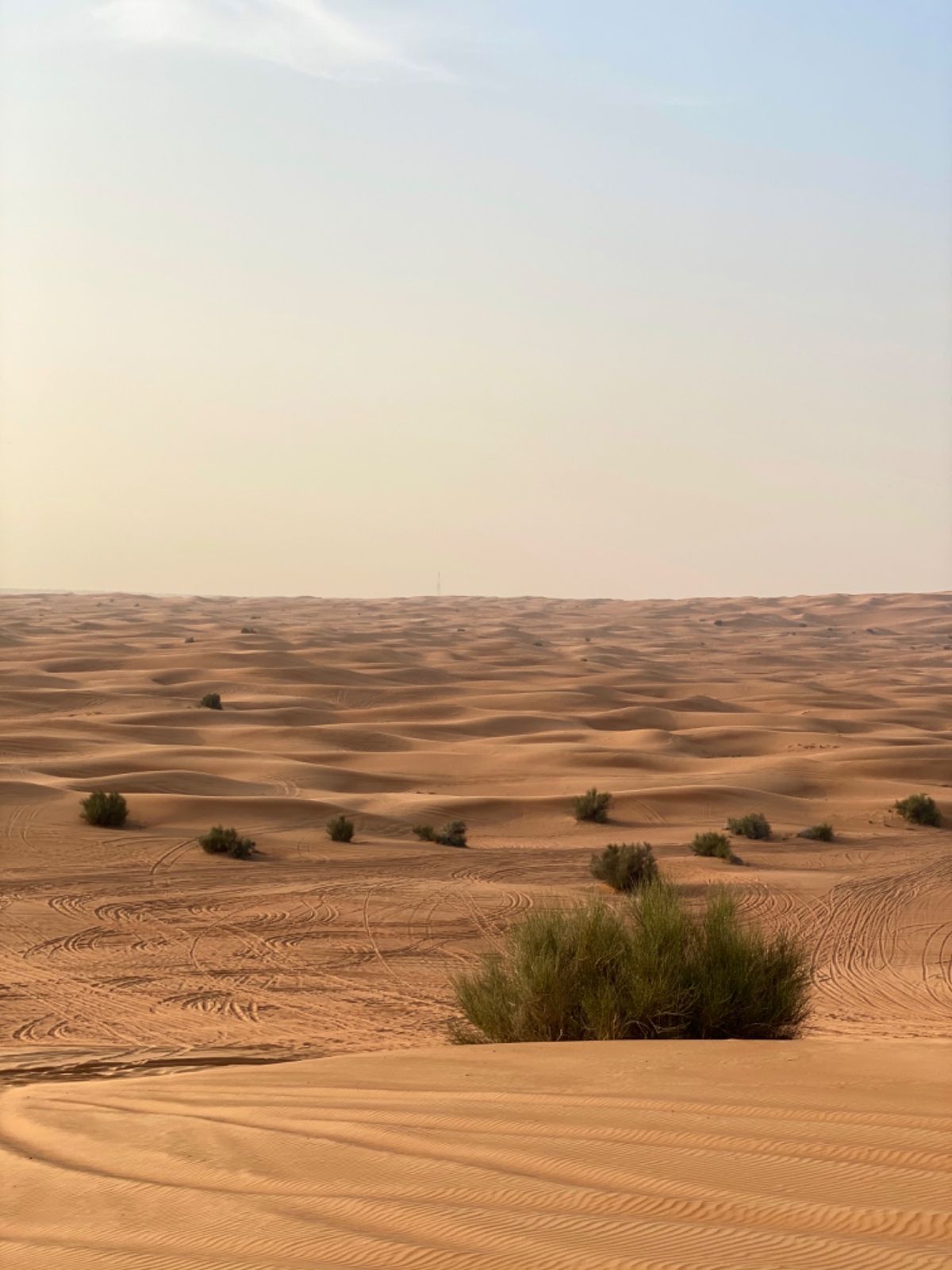 砂漠に入る前と出るときは
タイヤの空気を抜いたり入れたりしてた（たぶん）
...