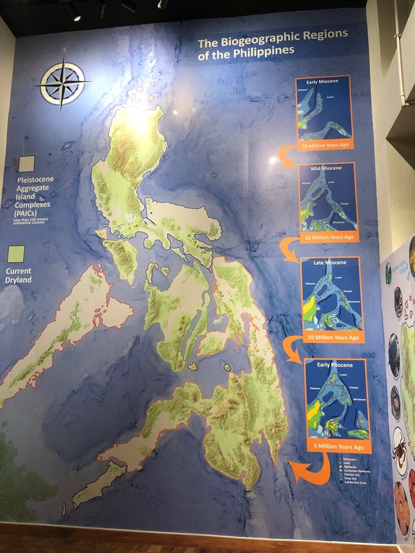 フィリピン・マニラ「マニラ」の写真