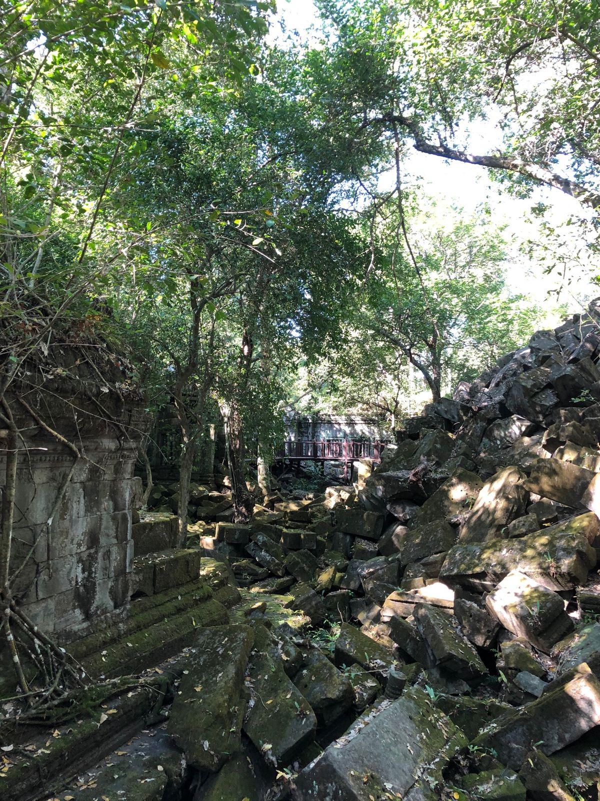 ラピュタのモデルといわれるベンメリア