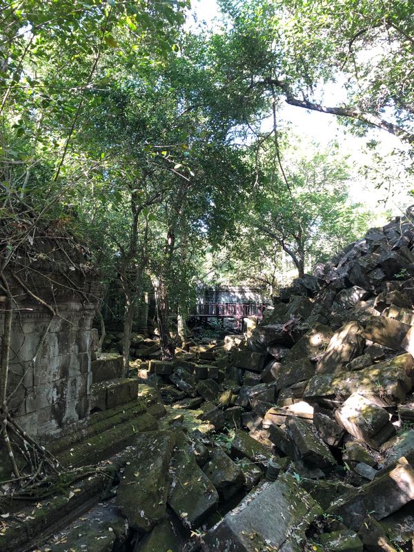 カンボジア・アンコールワット　「カンボジア」の写真：ラピュタのモデルといわれるベンメリア