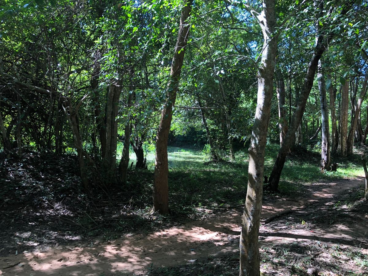 ラピュタのモデルといわれるベンメリア