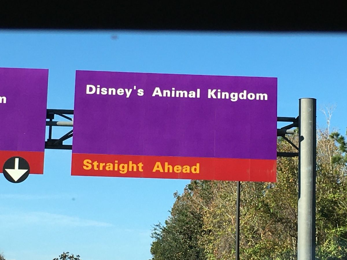 Landed at Miami, headed to Key West, ...